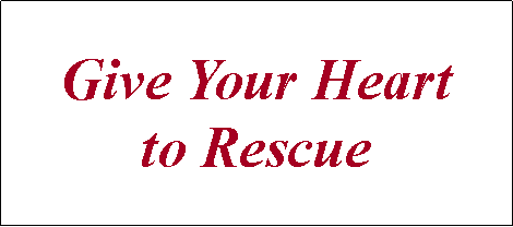 Text Box: Give Your Heart to Rescue